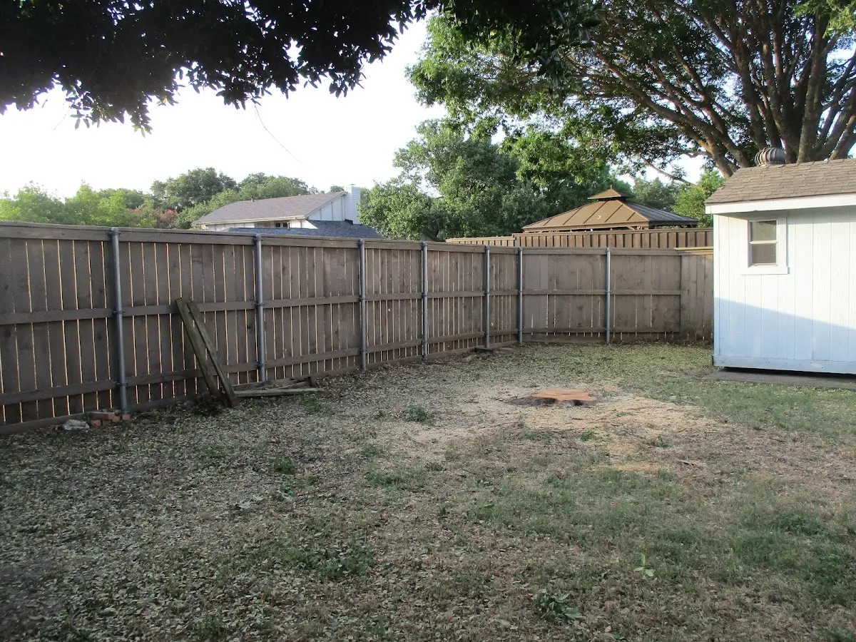 Cleared yard after professional tree removal in Mason City