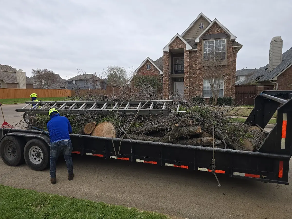 Expert Tree Fertilization with proper safety equipment in Mason City